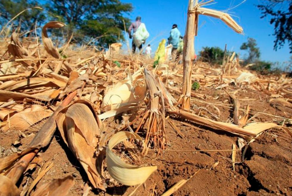 Cambio climático, la nueva lucha del sector campesino
