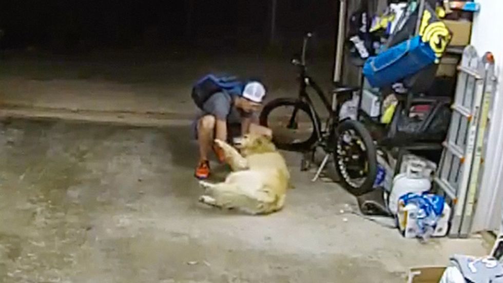 Entra en una casa a robar una bicicleta y entabla amistad con el perro 'guardián' (Video)