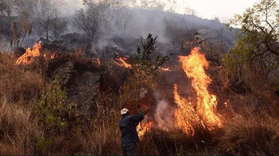 Campesinos rechazan sanción de 10 años de cárcel por incendios