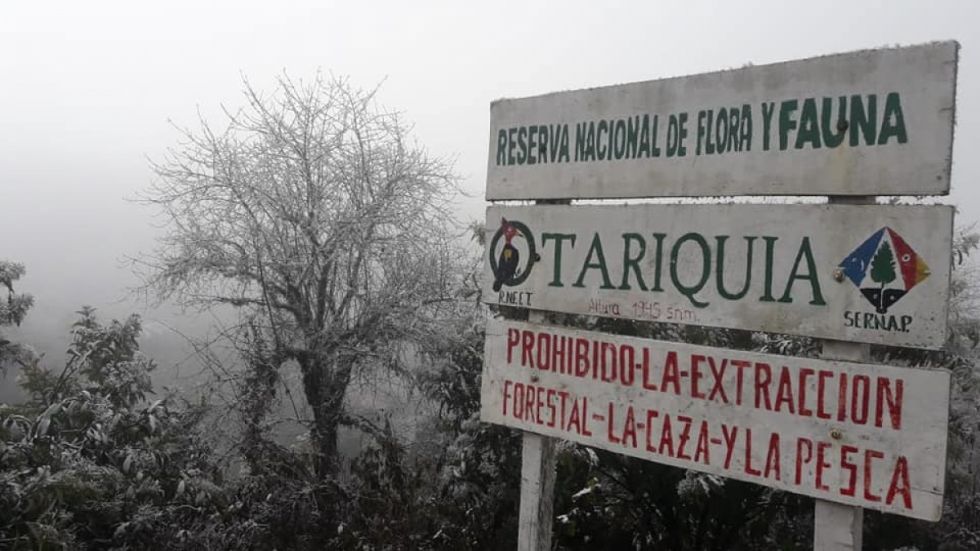 Tariquía: En Chiquiacá rechazan el ingreso de Petrobras, temen por el agua 
