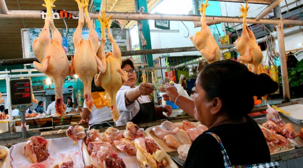 Tarija: Avícolas aseguran por ahora la estabilidad del precio del pollo