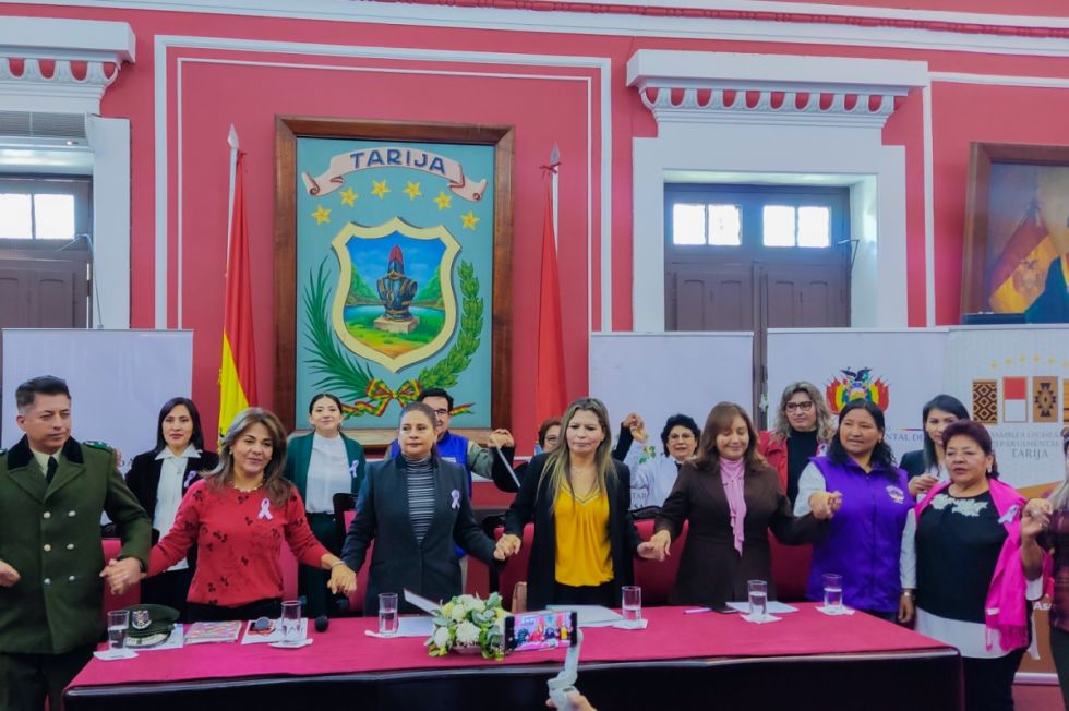 Lanzan campaña para bajar datos de violencia en Tarija