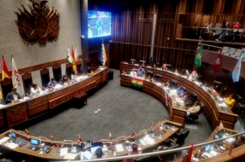 El Senado no logra los dos tercios para reinstalar tratamiento de ley que regula las elecciones judiciales