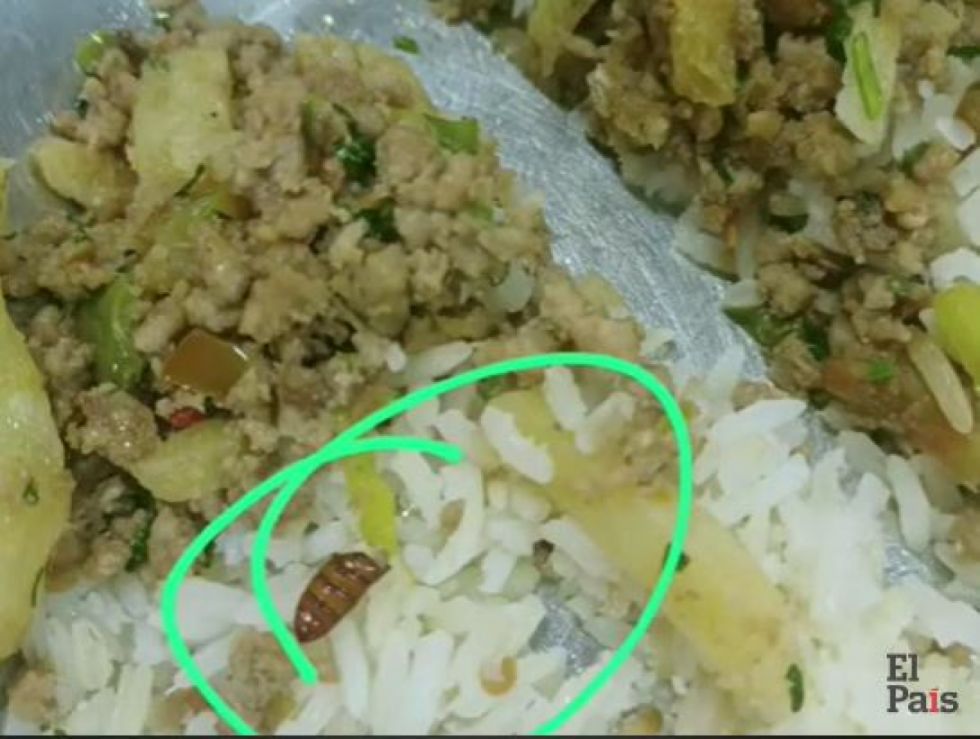 Denuncian que sirvieron alimentos contaminados en el comedor de la UAJMS