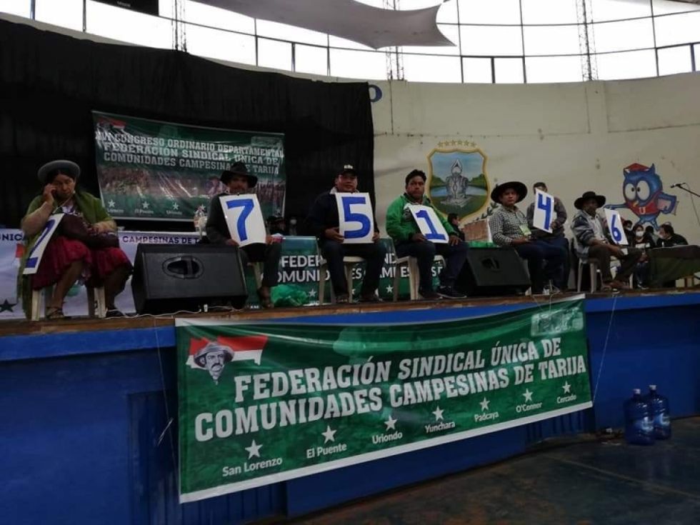 Se ahonda la crisis del sector campesino por la dirigencia 		