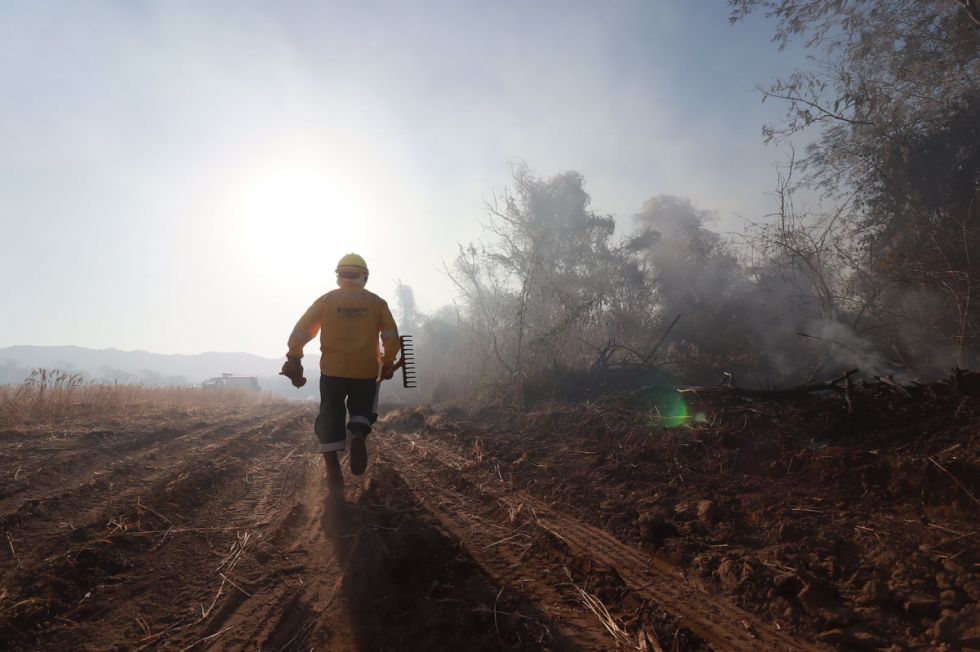 Incendio en Algarrobal movilizó a los bomberos de Yacuiba 
