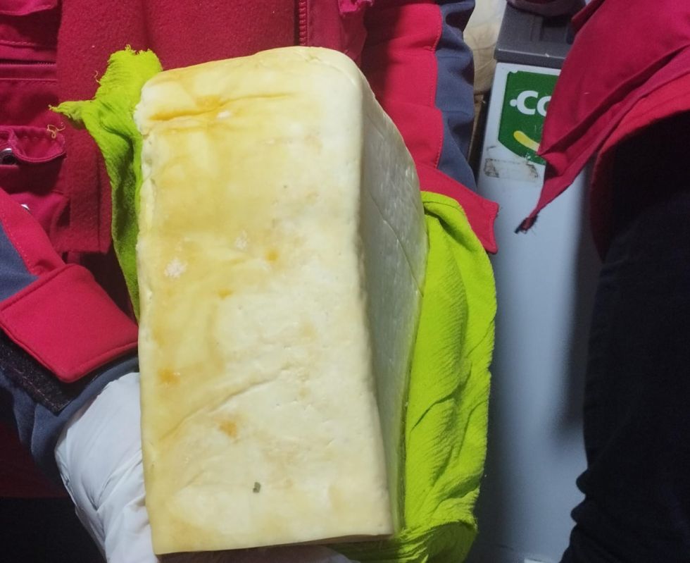 Queso con moho