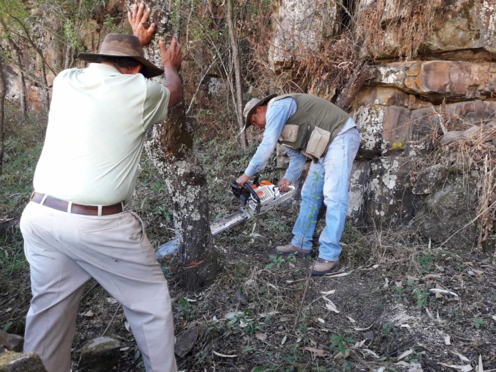 El SEDAG brinda asistencia técnica en poda y formación de frutales a comunarios de Tucumillas