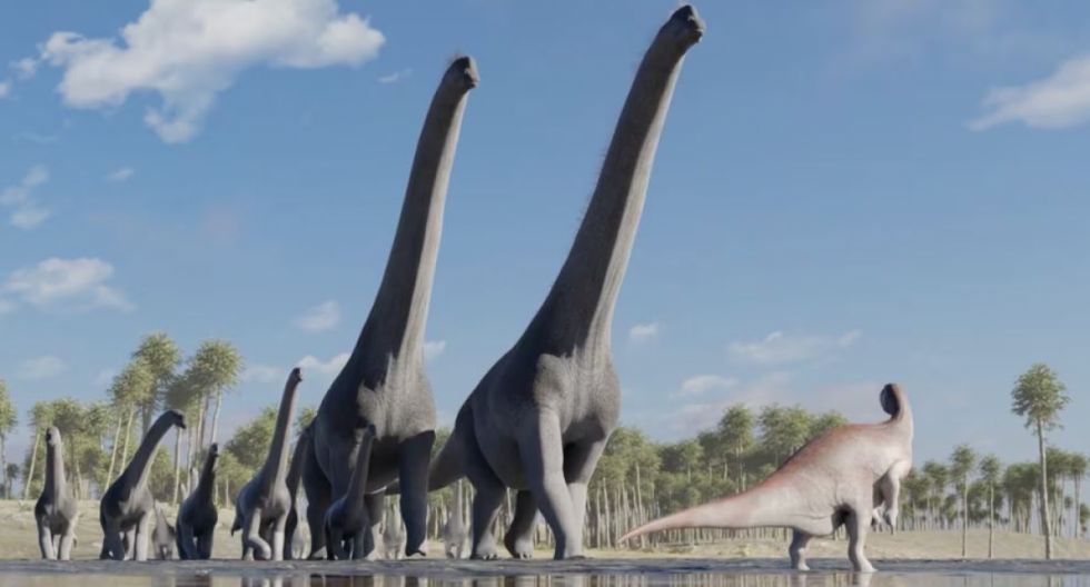 "Guardería de dinosaurios", un asombroso hallazgo paleontológico en Tarija