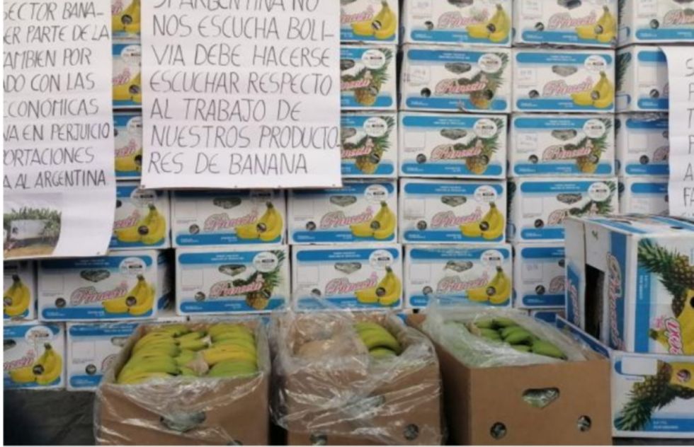 Plantean pasar de dólares a yuanes en el comercio de banana hacia Argentina