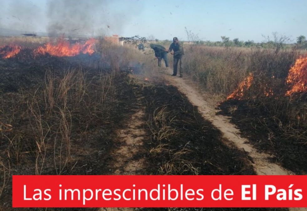 El aire regular, los mil abogados, los Brics... Lee las imprescindibles de este miércoles