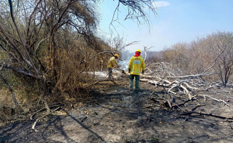 Reportan que incendio en el Parque Kaa-Iya está en etapa de liquidación tras afectar casi 7.000 hectáreas