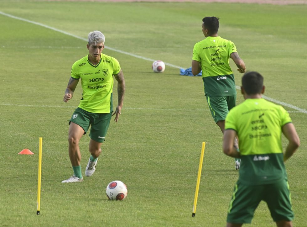 Gabriel Villamil es el único tarijeño de los 48 que citó Costas para la Verde
