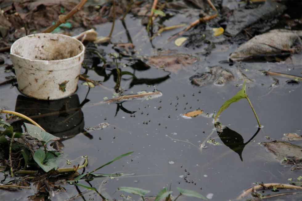 Preocupa el dengue en cuatro barrios de Villa Montes