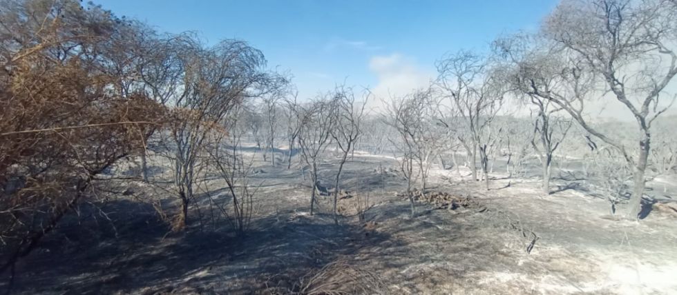 Imágenes del incendio en Monte Méndez 