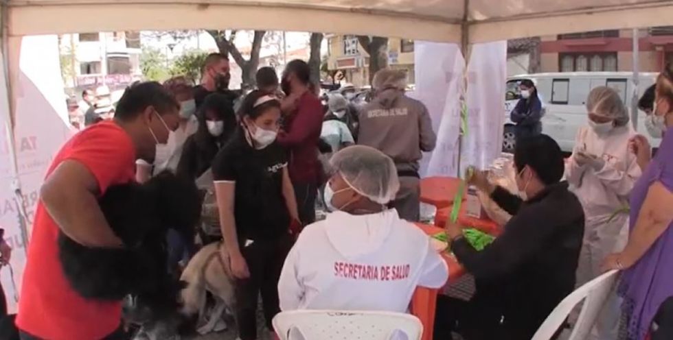 Este fin de semana vacunarán contra la rabia a perros y gatos de Tarija