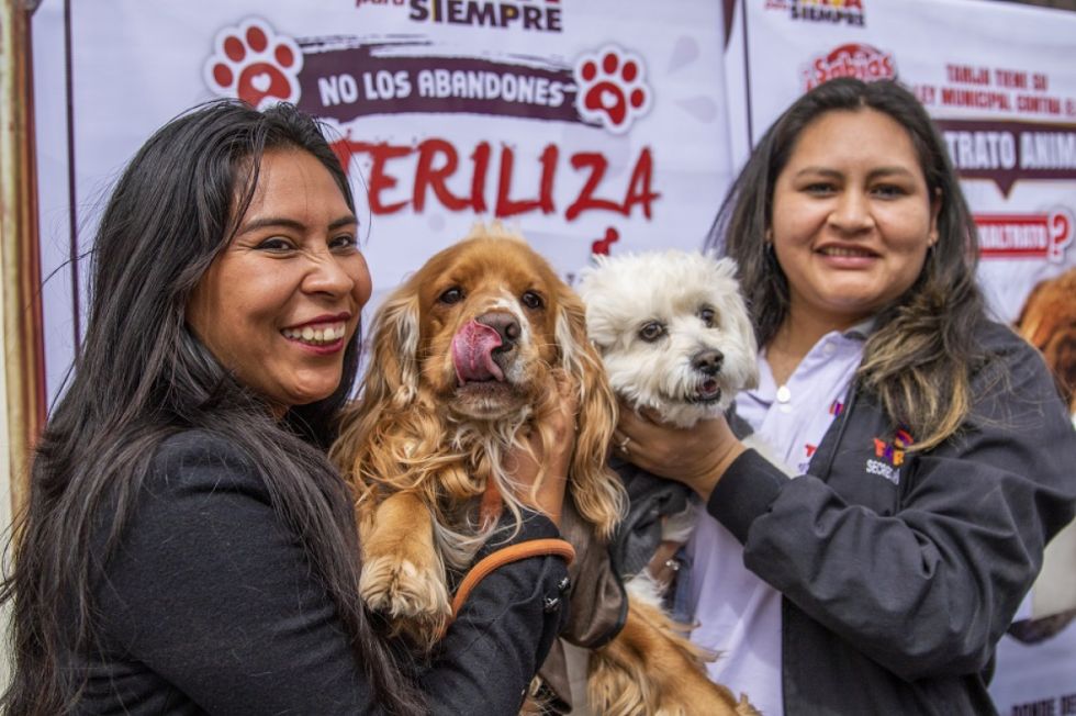Tarija: Campaña de vacunación prevé llegar a 80.000 mascotas 