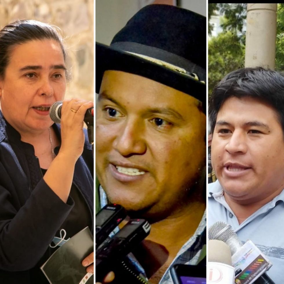 Acosta, Lizárraga o Ferrufino ¿Quién manda en el MAS Tarija?