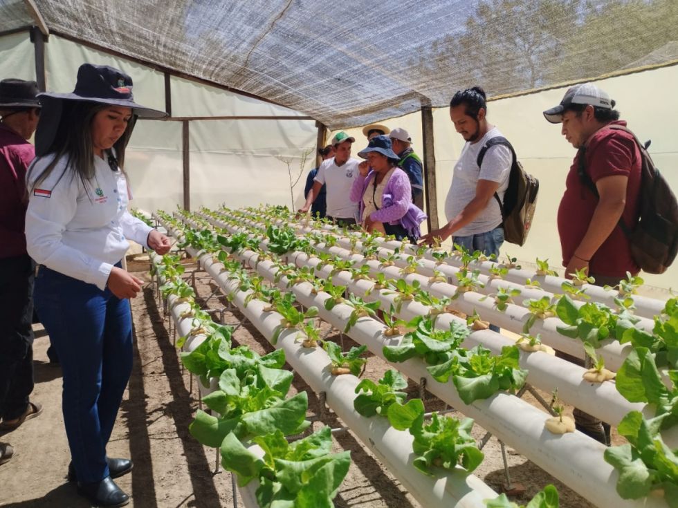 Gobernación beneficia a unas cien familias con la implementación del Programas Apoyo al Emprendedor y Socio Productivo