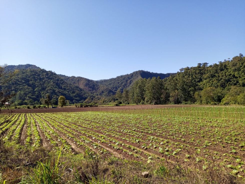 Tarija: Escasez de agua pone en apuros al campo y la ciudad