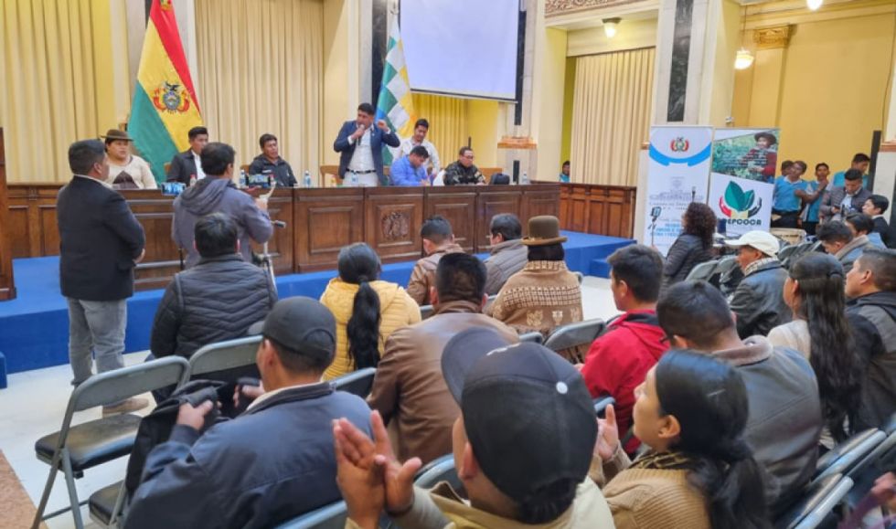 Cocaleros de Yungas piden reducir cupo de coca legal del Chapare; el Trópico advierte con movilizarse