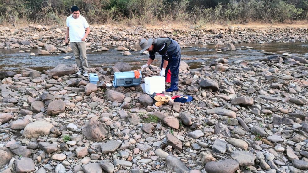Alfombra de cangrejos muertos alarma a los comunarios de San Jacinto