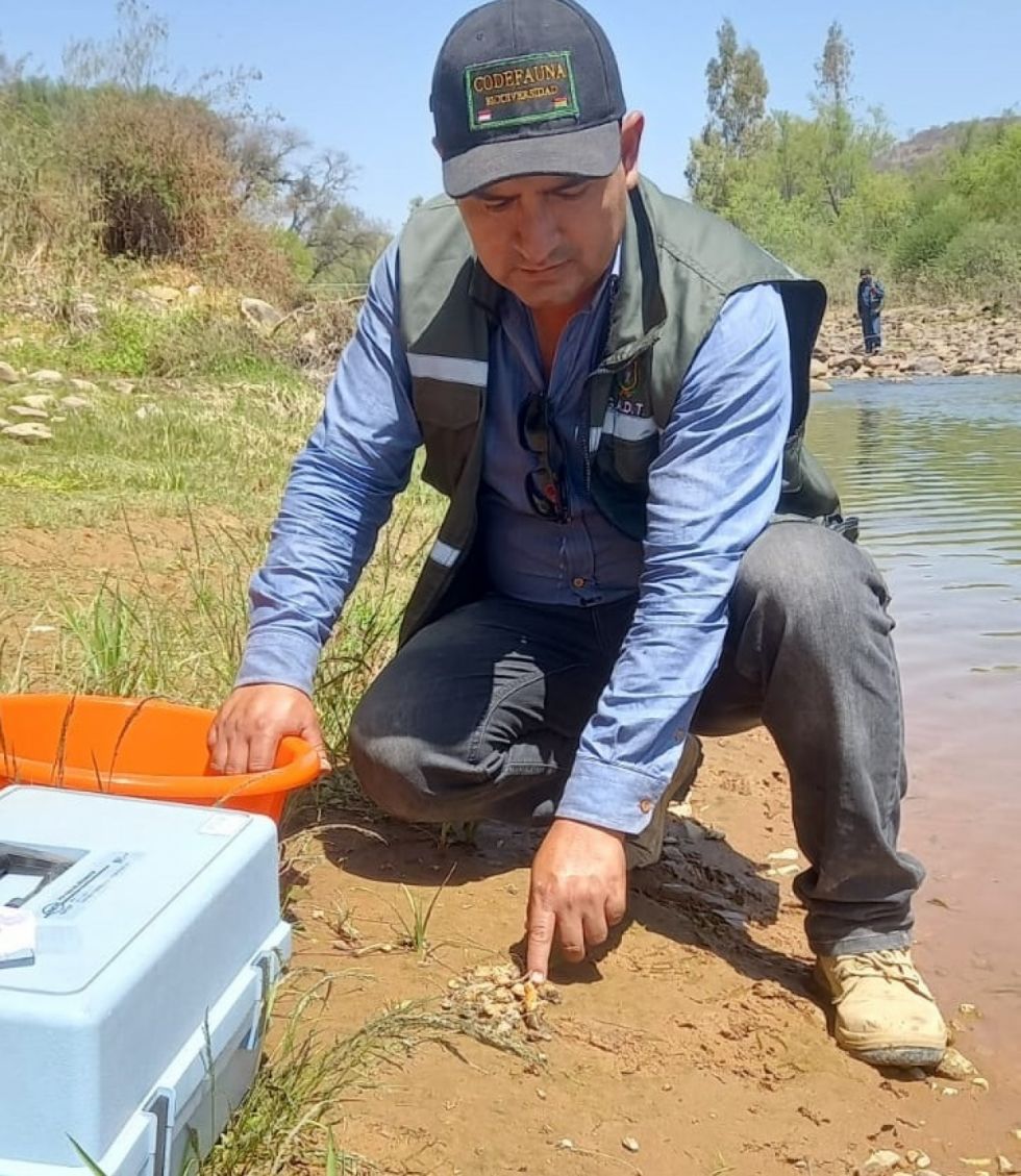 Gobernación: Mortandad de cangrejos ocurrió a 4 km del embalse