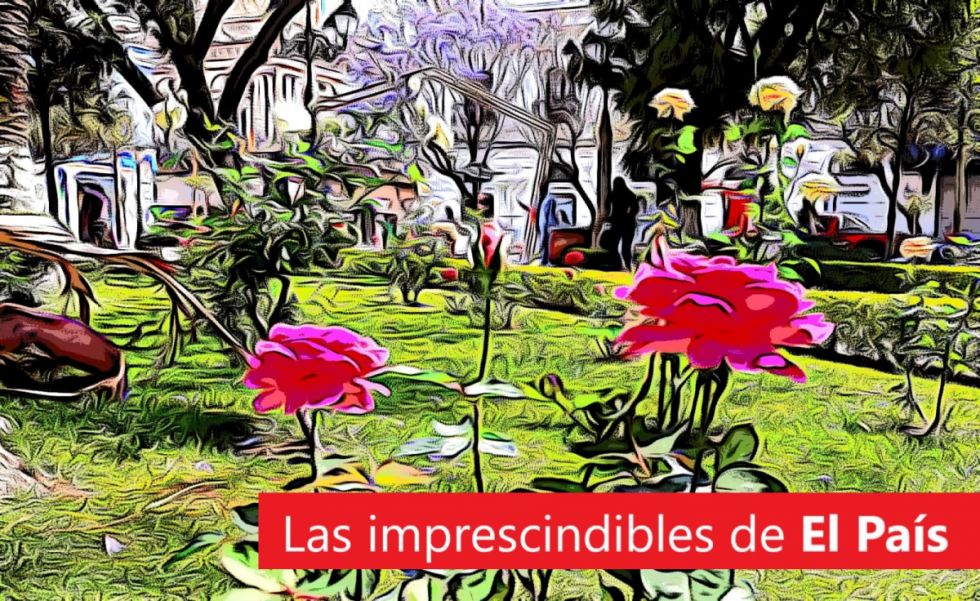 El "sana, sana" bartolino, contrabando de tabaco, veda cangrejil y mucho más: Lee las imprescindibles 