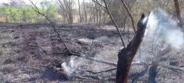 Bermejo: Bomberos combaten el fuego cerca del barrio Porvenir