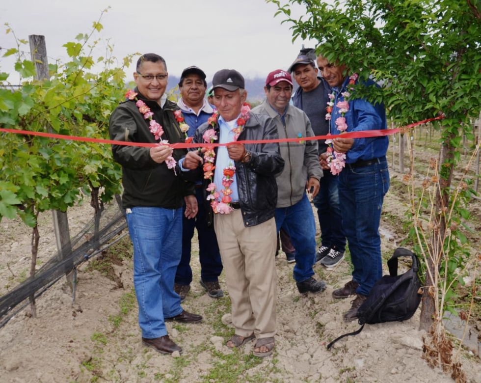 Gobernación de Tarija entrega riego tecnificado en San Isidro 