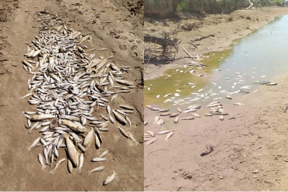 Histórica baja del caudal del río Pilcomayo en Tarija despierta preocupación