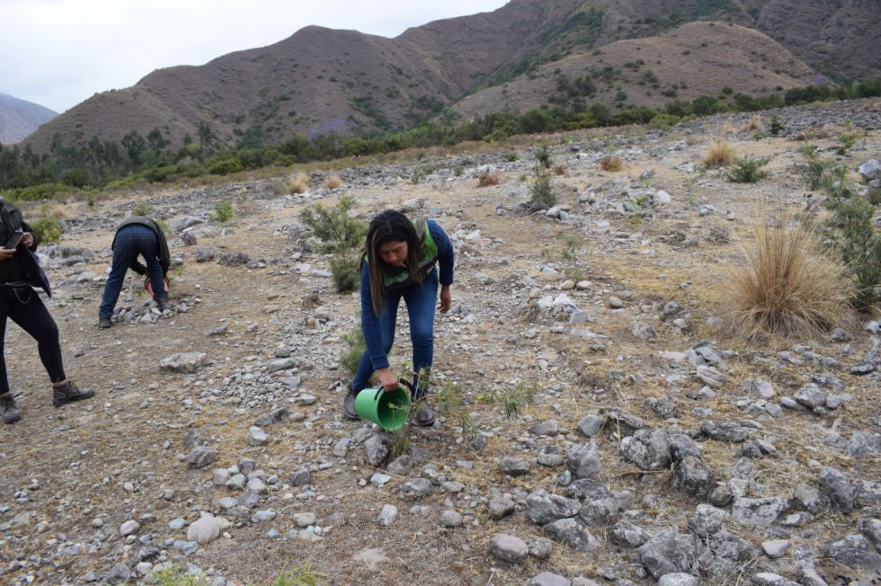 Gobernación realizó una campaña de limpieza, regado y conservación de plantas en San Pedro de Sola