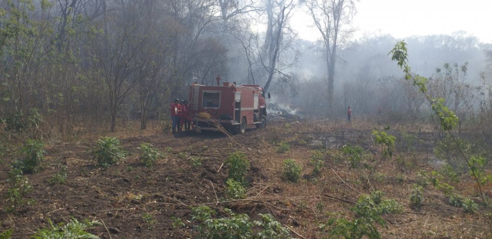 Incendio en Villa Montes afecta cerca de 14 hectáreas