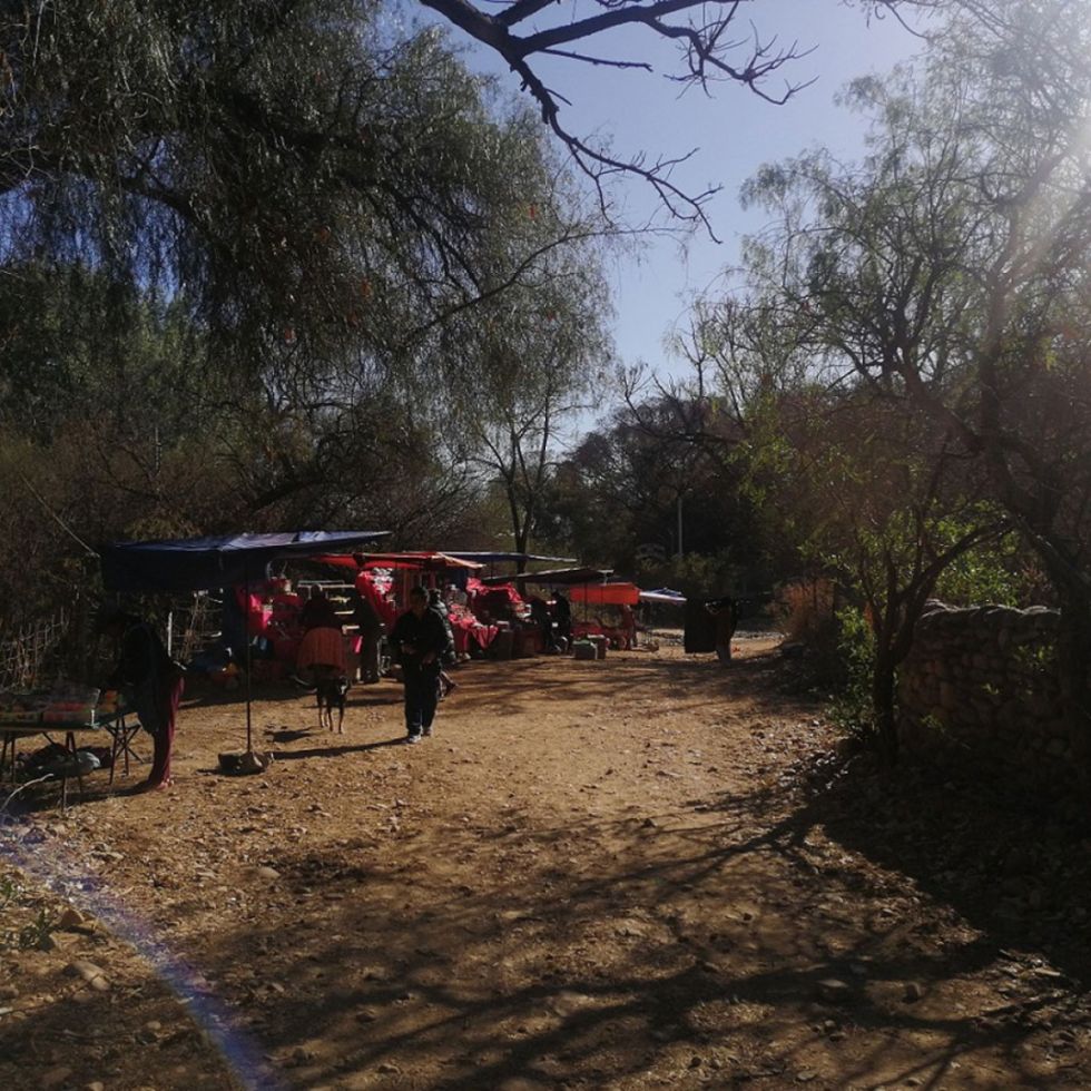 Paisajes de Tarija