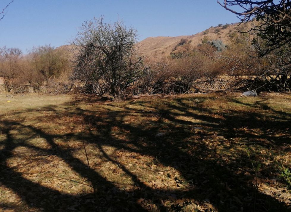 Paisajes de Tarija
