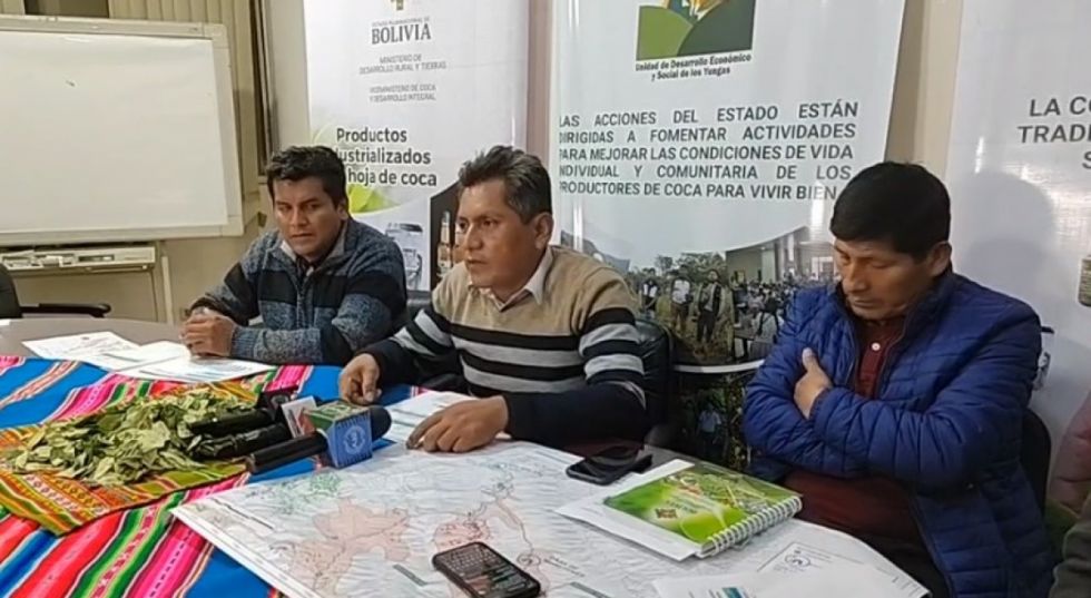 En Bolivia erradican 7.573 ha excedentarias de coca