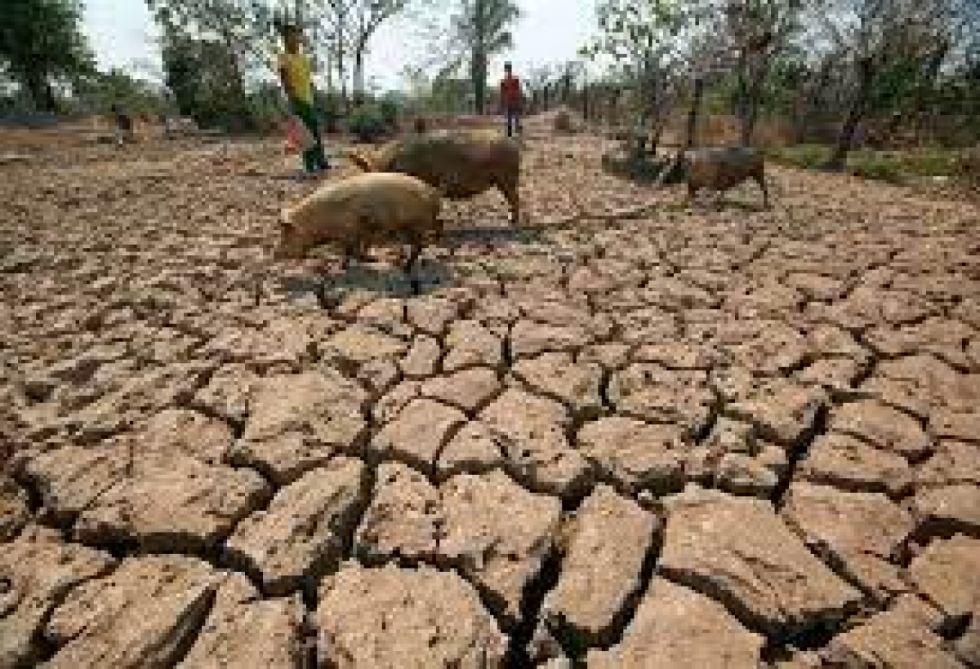 Confederación agropecuaria se reúne de emergencia en Oruro por la crisis hídrica en el país