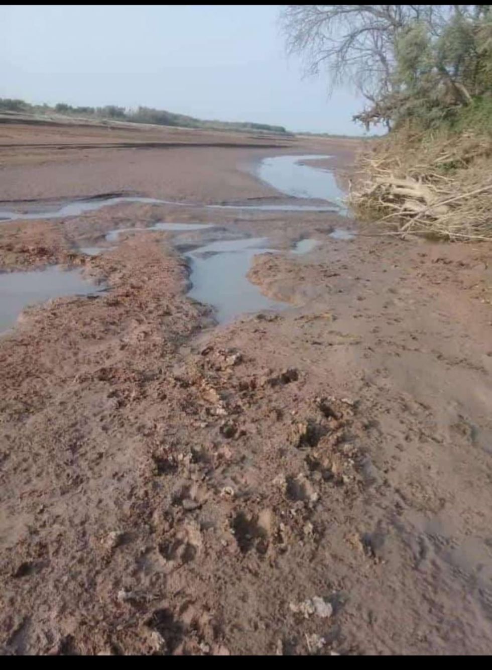 Weenhayeks se unen a otros pueblos indígenas del país y solicitan estudio internacional del río Pilcomayo