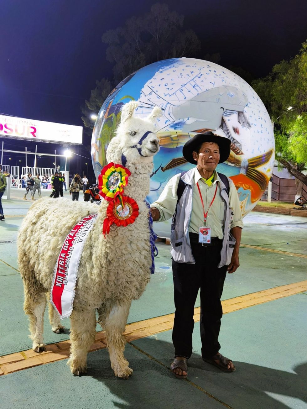 Leocadio Copa de  Yunchará con la llama ganadora de la XIII feria departamental de camélidos