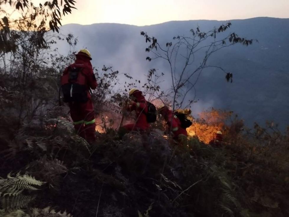 Bomberos forestales luchan contra 16 incendios activos