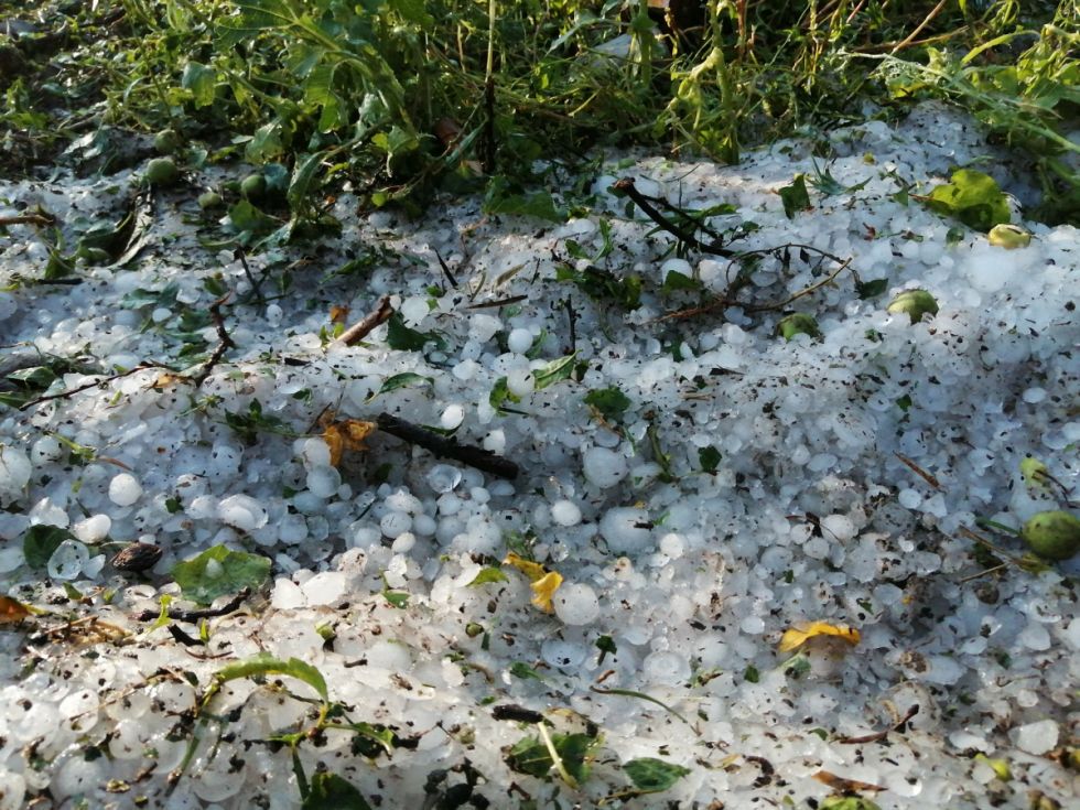 Primeras lluvias dañan cultivos en comunidades de tres municipios