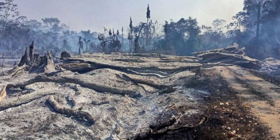 Conflicto por plantaciones de coca generó incendios en el Amboró, denuncia directora del parque