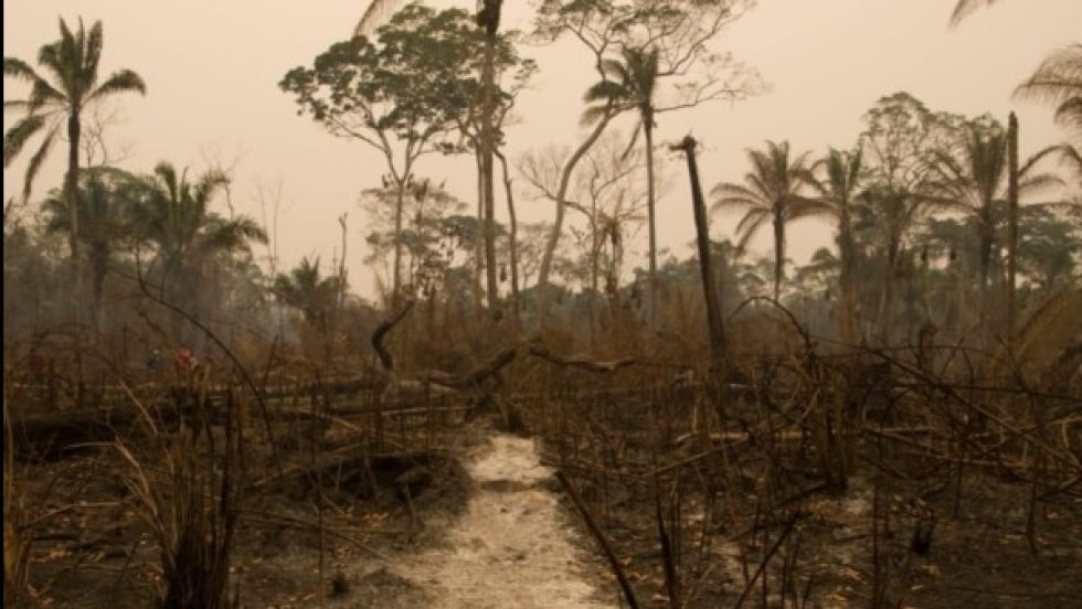 Incendios en Santa Cruz: hay siete aprehendidos