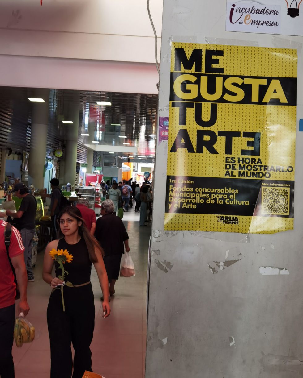Declaran desierta primera edición del Fondo Concursable para la Cultura y el Arte