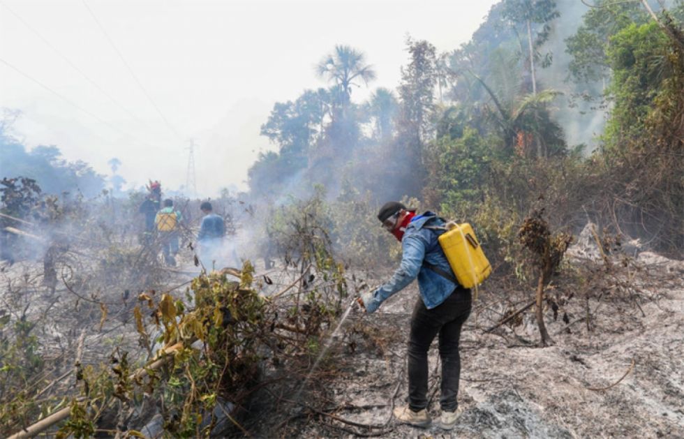 Beni reporta pérdida de 1,5 millones hectáreas de bosque