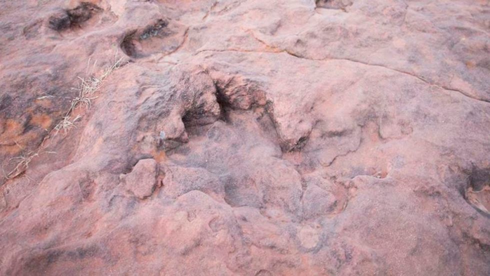 Municipio respalda el proyecto de Ley "Tierra de Gigantes" para impulsar el turismo paleontológico en Tarija