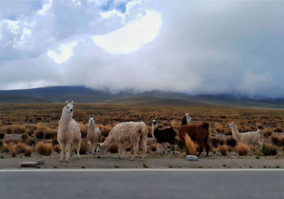 Imágenes de la zona alta de Tarija ganan concurso de fotografía sobre patrimonio