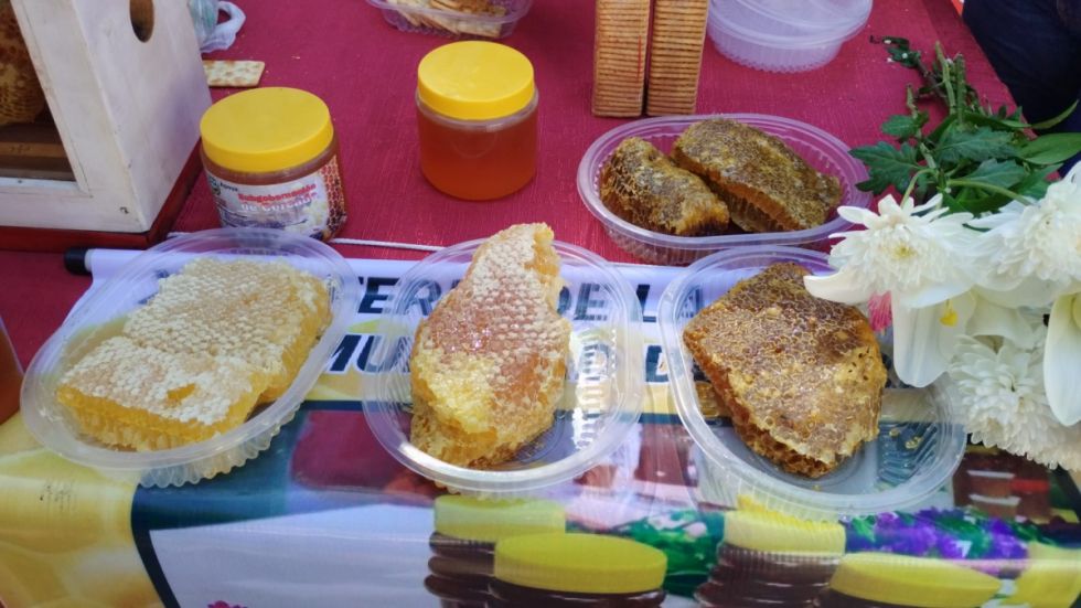Invitan a la XXV Feria de la miel y sus derivados en Obrajes Tarija
