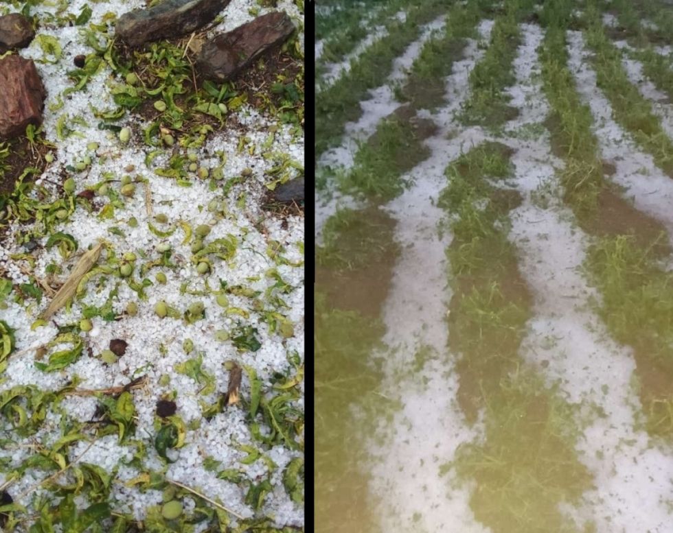Reportan fuerte granizada en Panti Pampa - San Lorenzo 