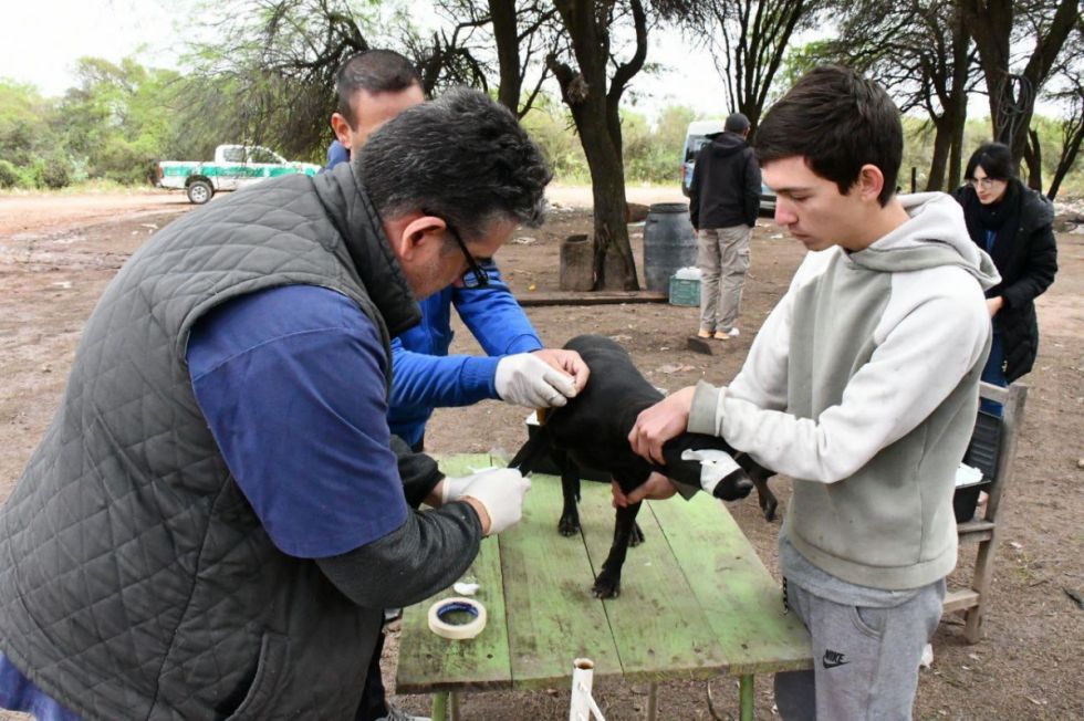 Villa Montes inicia campaña para prevenir la Leishmaniasis